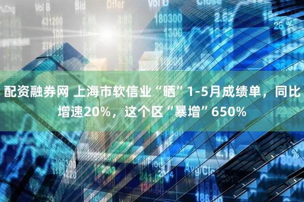 配资融券网 上海市软信业“晒”1-5月成绩单，同比增速20%，这个区“暴增”650%