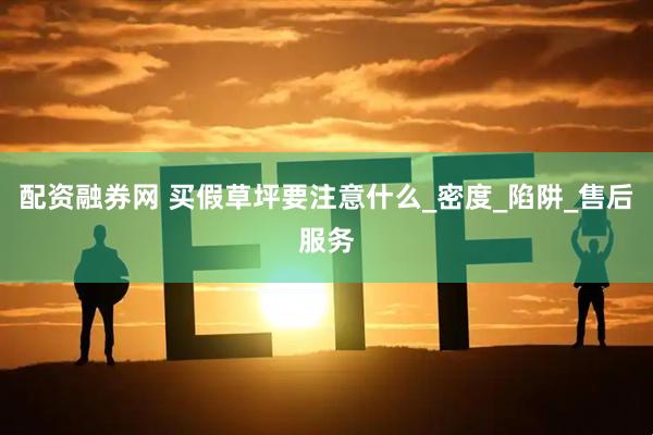 配资融券网 买假草坪要注意什么_密度_陷阱_售后服务